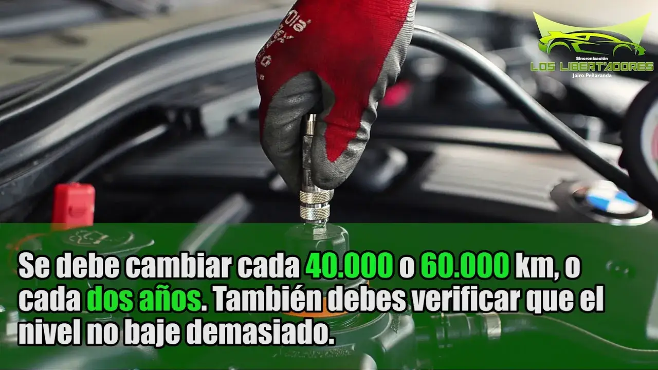 Revisión del sistema de refrigeración en el motor de un carro